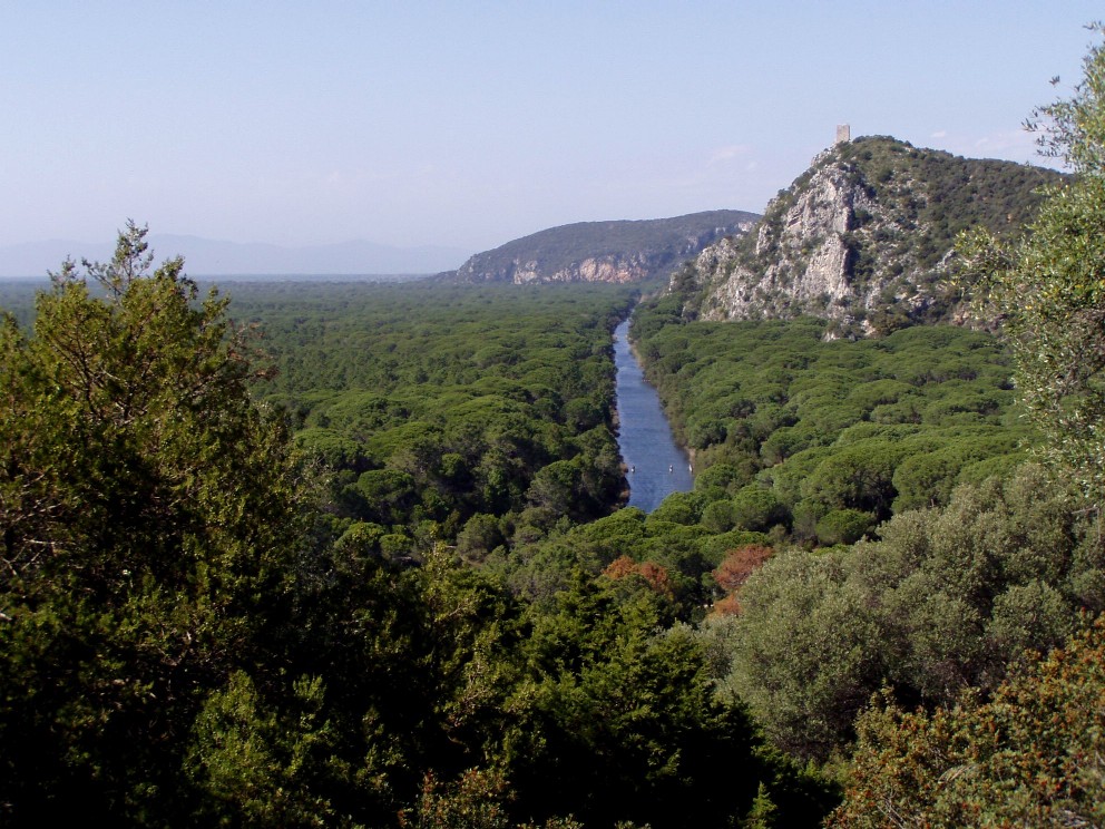 Parco dell''Uccellina - Torre di Collelungo